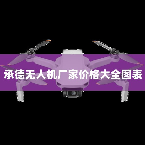 2021-2025йѼ˻ҵչս...,йѼ˻ҵʮ塱滮δǰԤ...,2021-2027ȫйרҵѼ,˻UAV