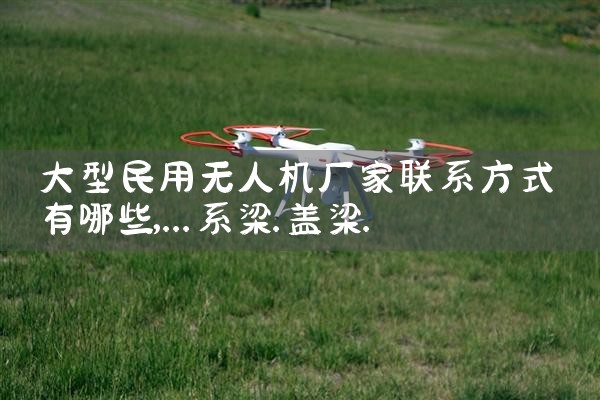 ˻ϵʽЩ|˻UAV