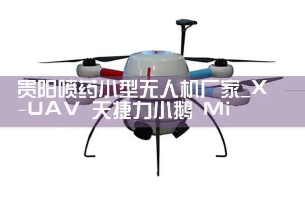 ҩС˻|˻UAV